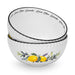 2-Piece Bowl Lemon Provence 16cm Porcelain