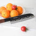 5.5" Santoku Knife “ KENDO Series (3Cr13 Steel)