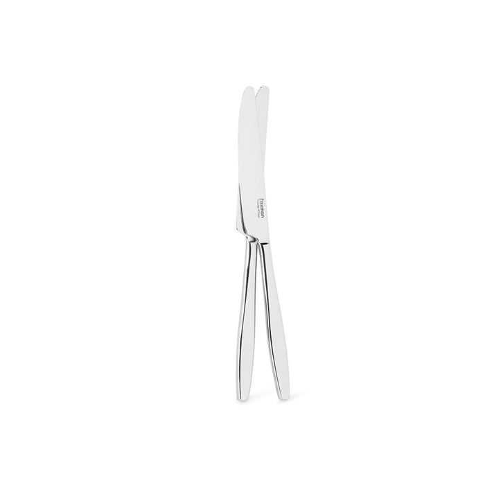 2-Piece Dinner Knife 23cm, 18/10  Stainless Steel Cutlery Set TRENTO Series