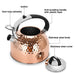 Whistling Kettle Nicole 2.5 Ltr (Stainless Steel)