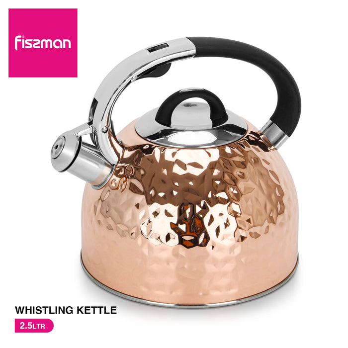 Whistling Kettle Nicole 2.5 Ltr (Stainless Steel)