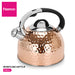 Whistling Kettle Nicole 2.5 Ltr (Stainless Steel)