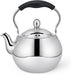 Teapot with Infuser 1.5L, Stainless Steel Teapot Fela Series, Removable Stainless Steel Infuser