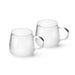 2-Piece 300ml Borosilicate Glass Cups